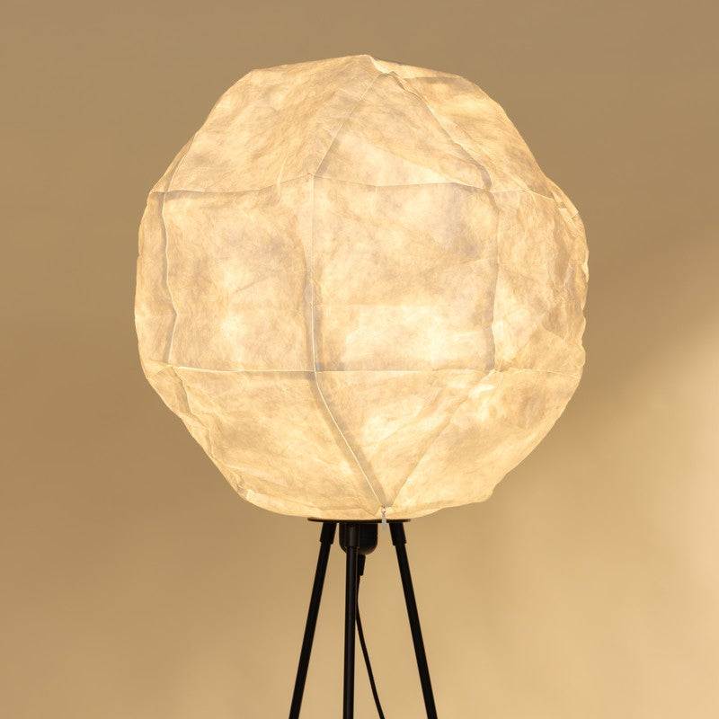 Fig Living Luna Floor Lamp media 3