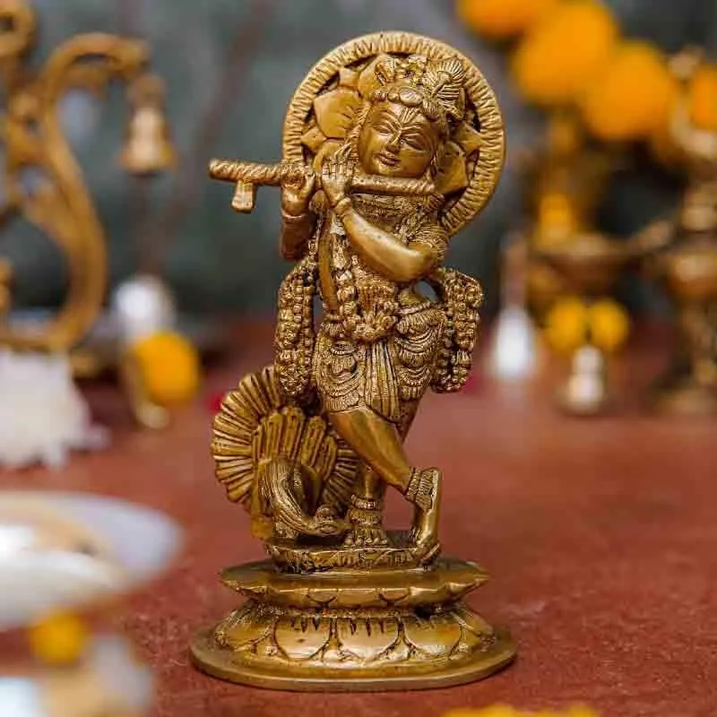 Krishna Murari Idol media 1