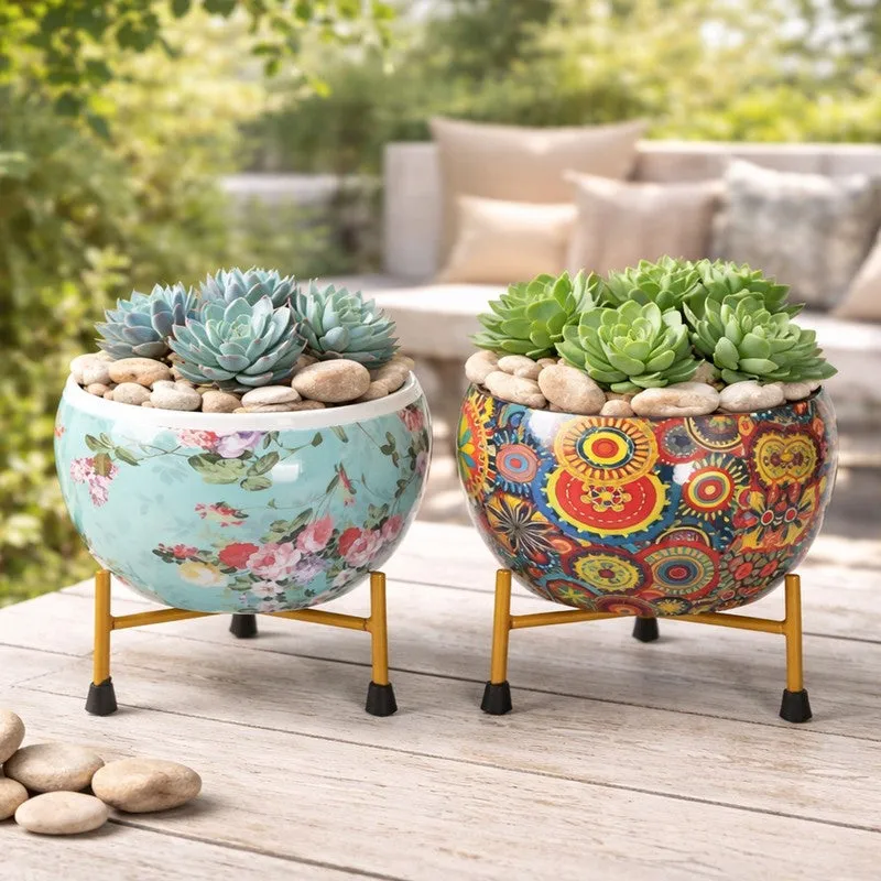 BloomCraft Pots & Planter - Set of Two media 7