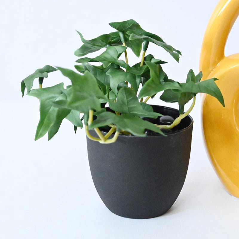 Ivella Artificial Mini Ivy Plant With Black Plastic Pot (Dark Green) - 14 cm media 7