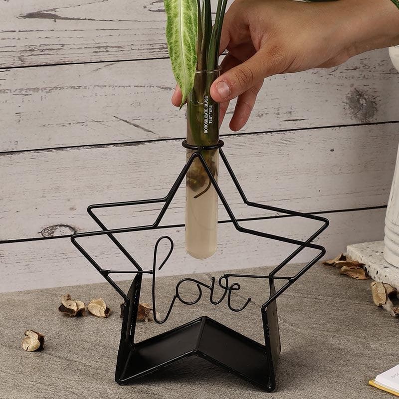 Starz Love Testube Planter media 4