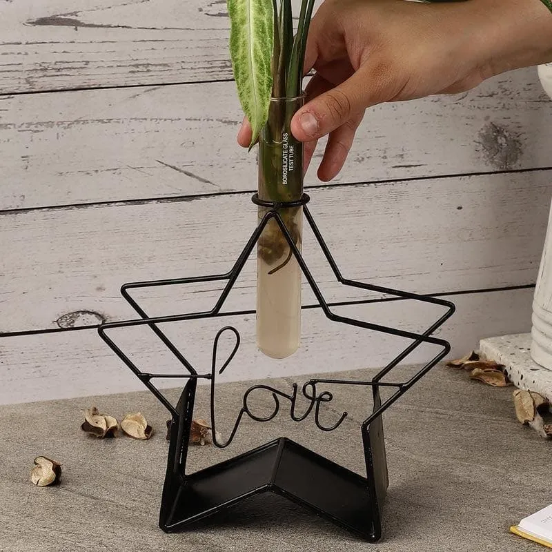 Starz Love Testube Planter media 4