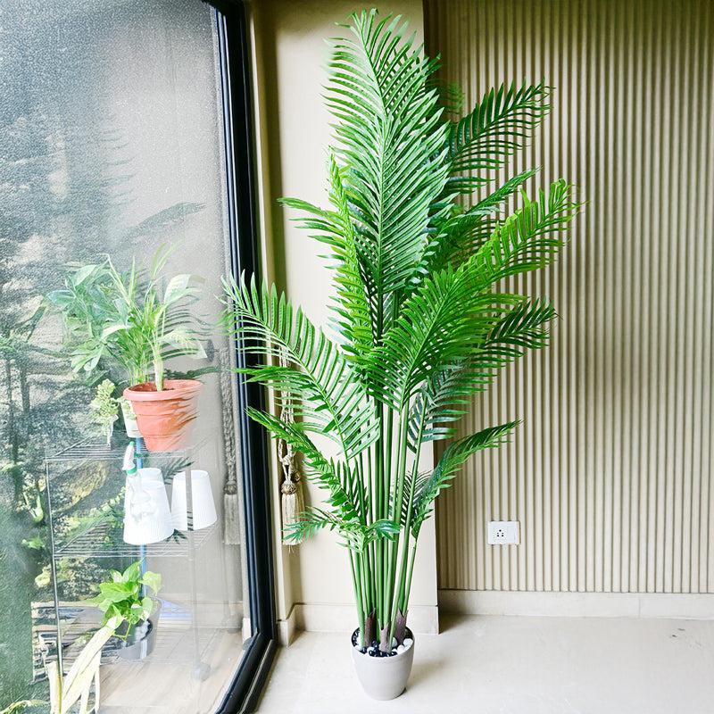 Palmera Artificial Areca Palm With Black Plastic Pot - 198 cm (6.5 ft) media 9