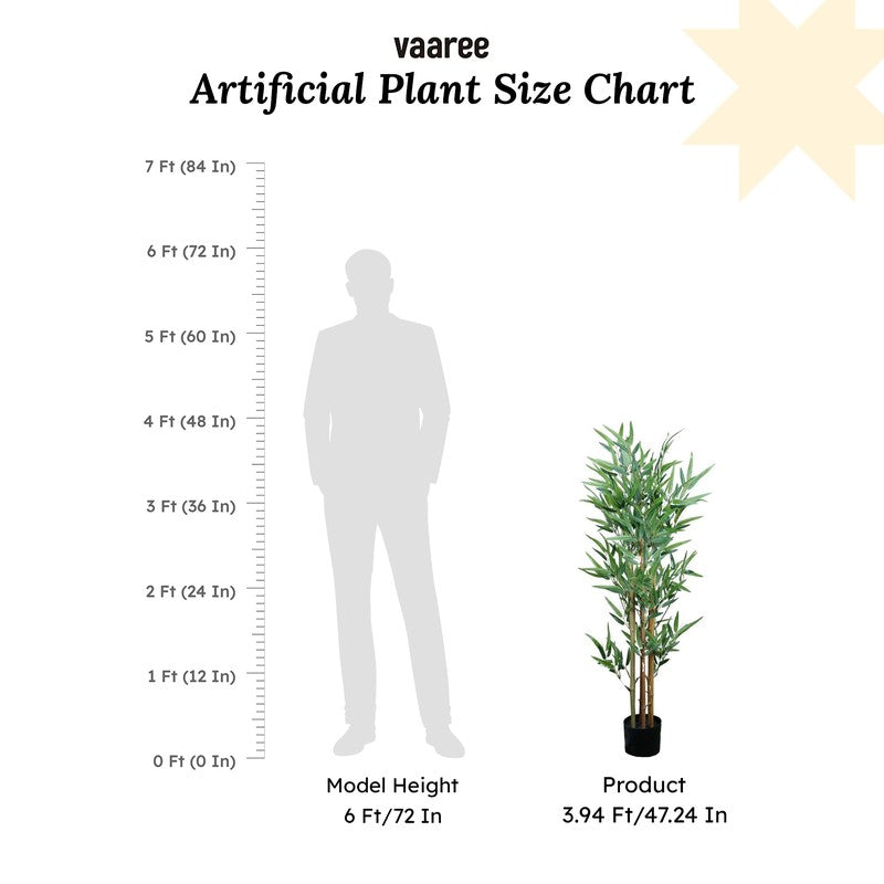 VerdaBloom Bamboo Plant With Black Fiber Pot - 3.9 Feet media 7