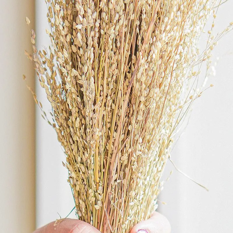 Aurora Stems Dried Flower Bunch media 3