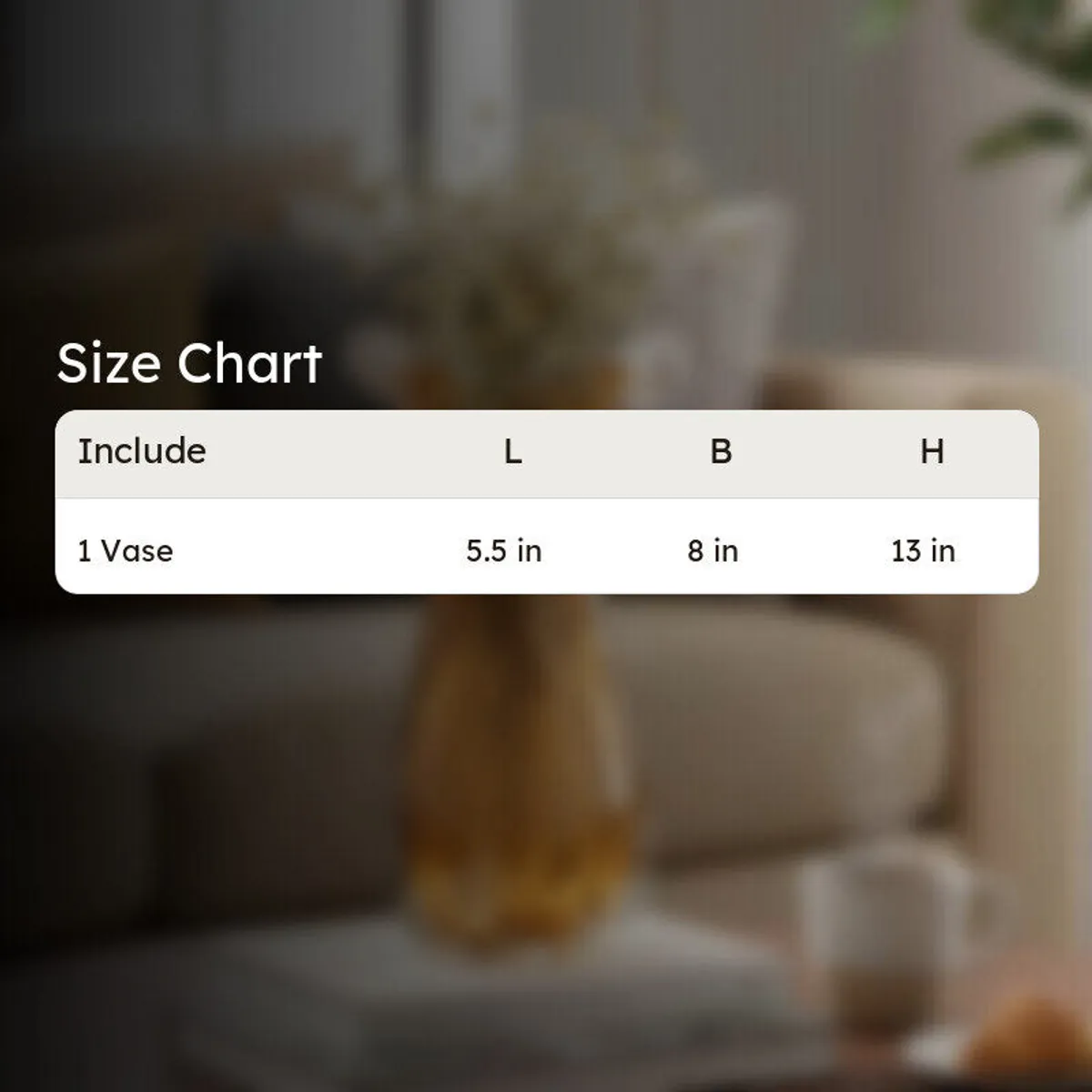 Blurred living room scene with a size chart overlay for the vase