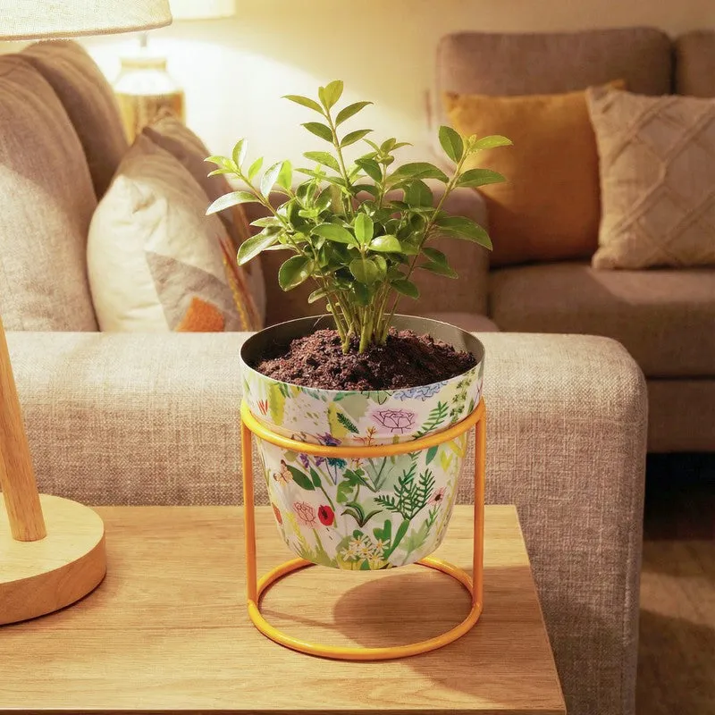 Concrete Metal Planters With Stand - Two Piece Set media 10