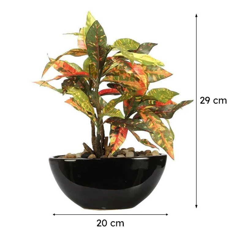 Faux Codiaeum Bonsai In Bowl Pot (29 cms) - Yellow & Green media 6