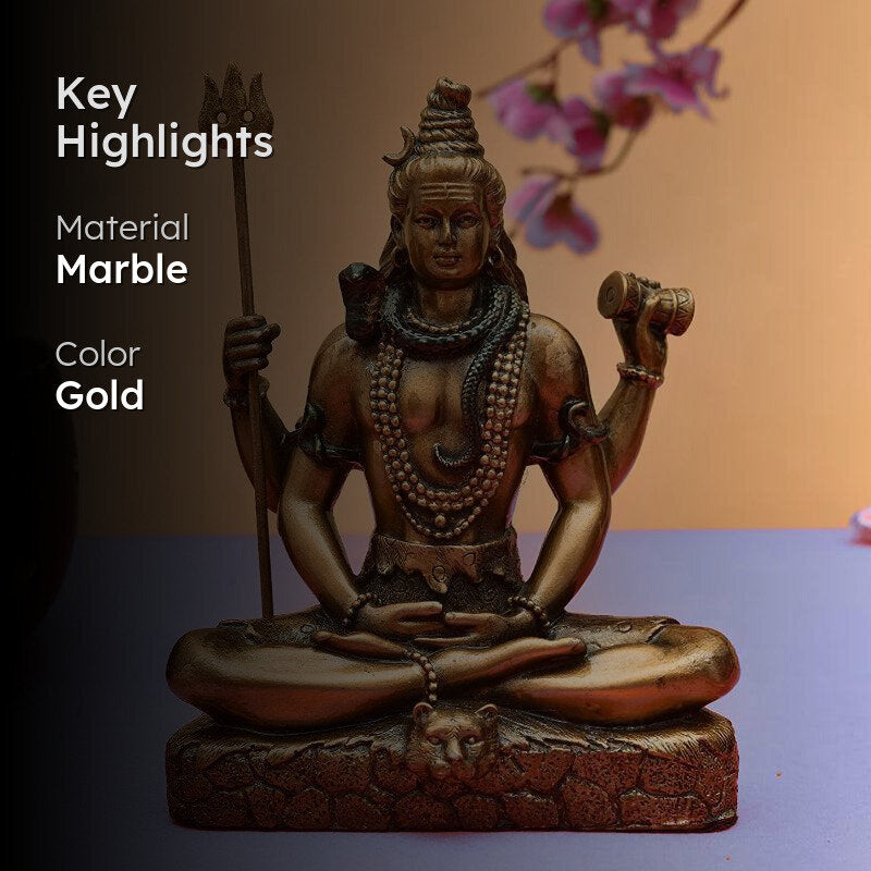 Shiva Bronzwe Idol media 2