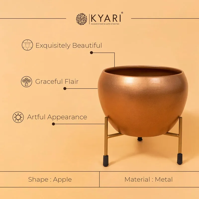 Kyari Therophyte Metal Planter With Stand media 3