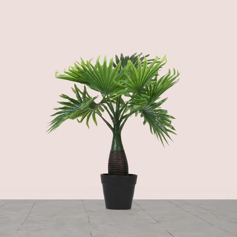 Faux Palm Bonsai In Cone Pot - 40 cms media 2