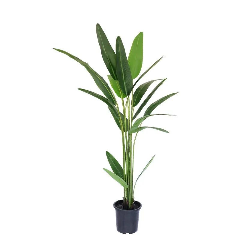 LioraLeaf Artificial Banana Plant With Black Plastic Pot - 4.1 Feet media 4