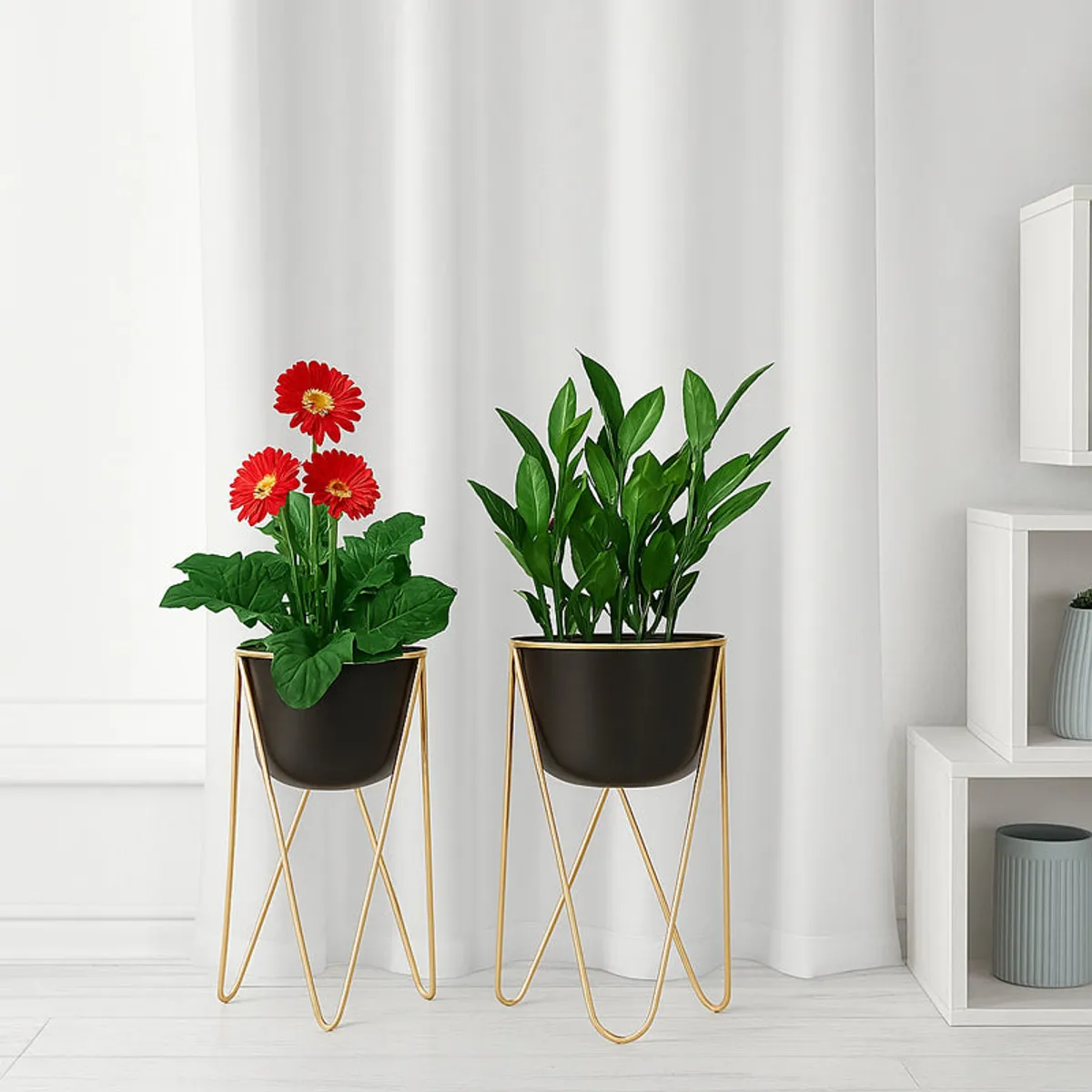 Set of two black metal planters with gold stands holding plants