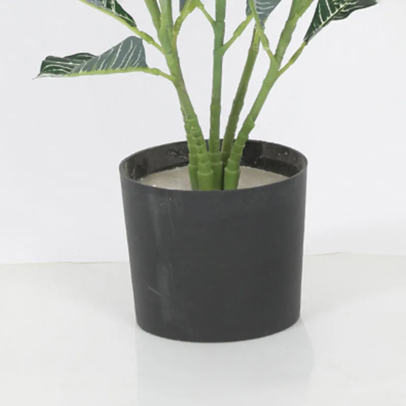 Everlay Artificial Plant With Black Plastic Pot - 2.8 Feet media 4