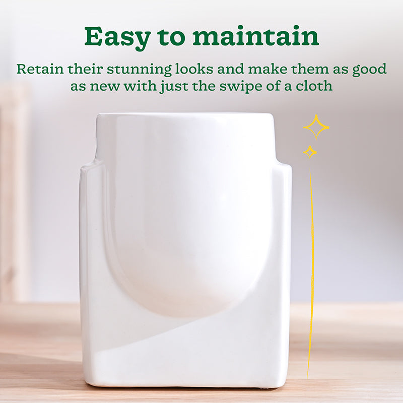 Ugaoo Minimalica Ceramic Planter - White media 4