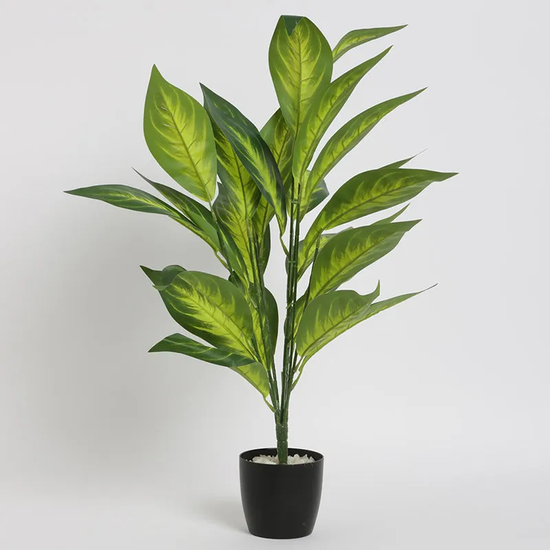Faux Petra Corton Plant With Black Plastic Pot - 2.2 Feet media 4