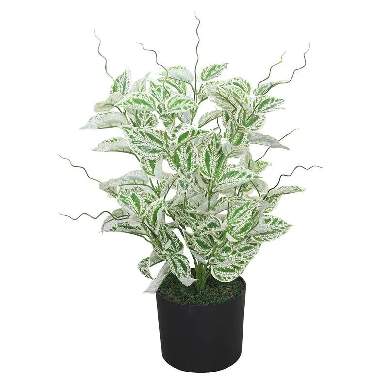 Urban Verdure Artificial Plant With Black Plastic Pot media 3