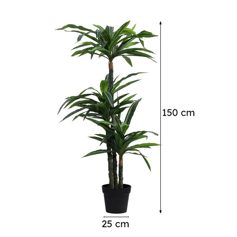 Artificial Variegated Dracaena Plant With Black Plastic Pot 5 ft media 10