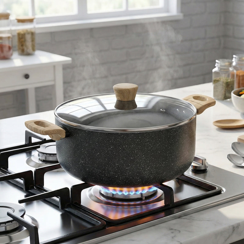 Bergner Terra Black Induction Safe Non-Stick Cooking Pot With Lid - 24 cm/5000 mL
