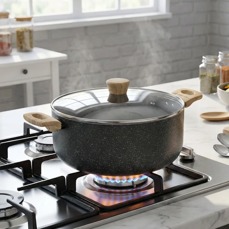 Bergner Terra Black Induction Safe Non-Stick Cooking Pot With Lid - 24 cm/5000 mL media 1