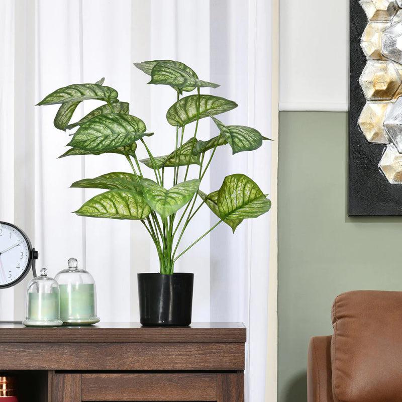 Faux Matura Rubber Plant With Black Plastic Pot - 2.13 ft media 3
