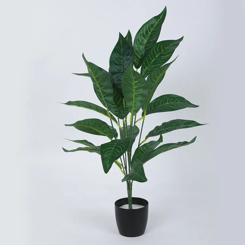 Faux Dark Green Croton Plant With Black Plastic Pot - 2.2 Feet media 4