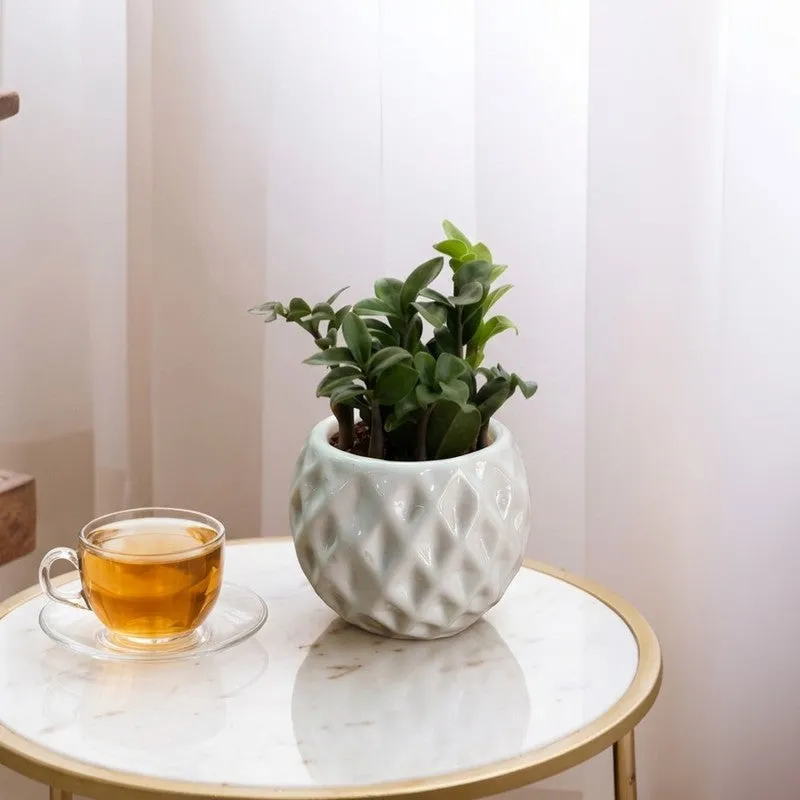 Moonstone Textured Ceramic Planter - Set of Two media 11