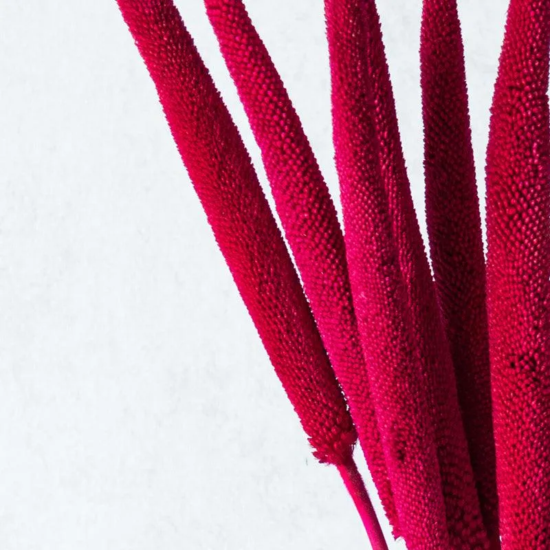 Sival Dried Millet Stick (Red & Pink) - Set Of Ten media 4