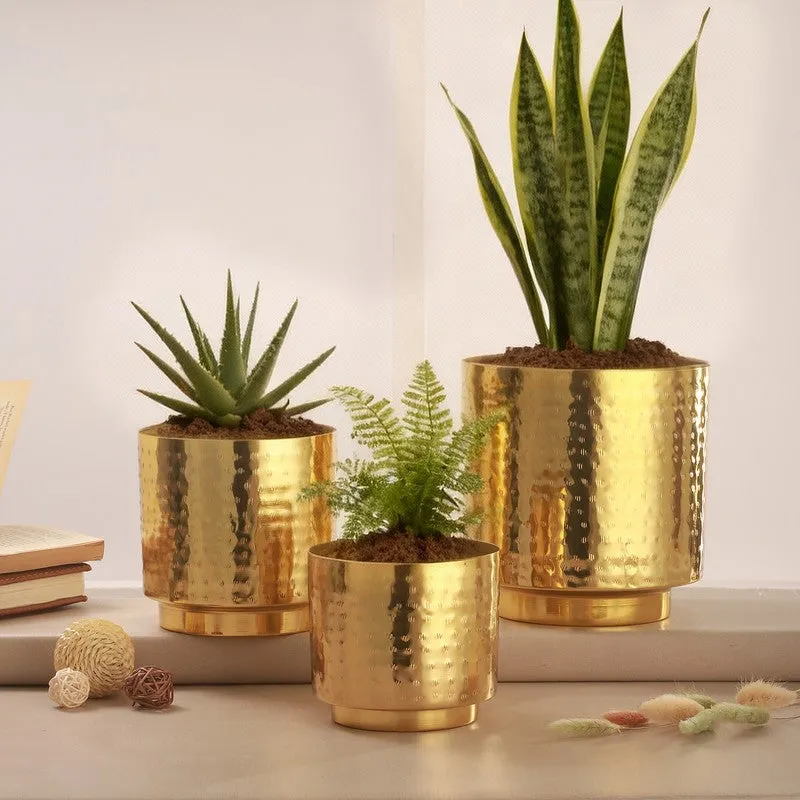Flora Haven Glow Planter - Set Of Three media 3
