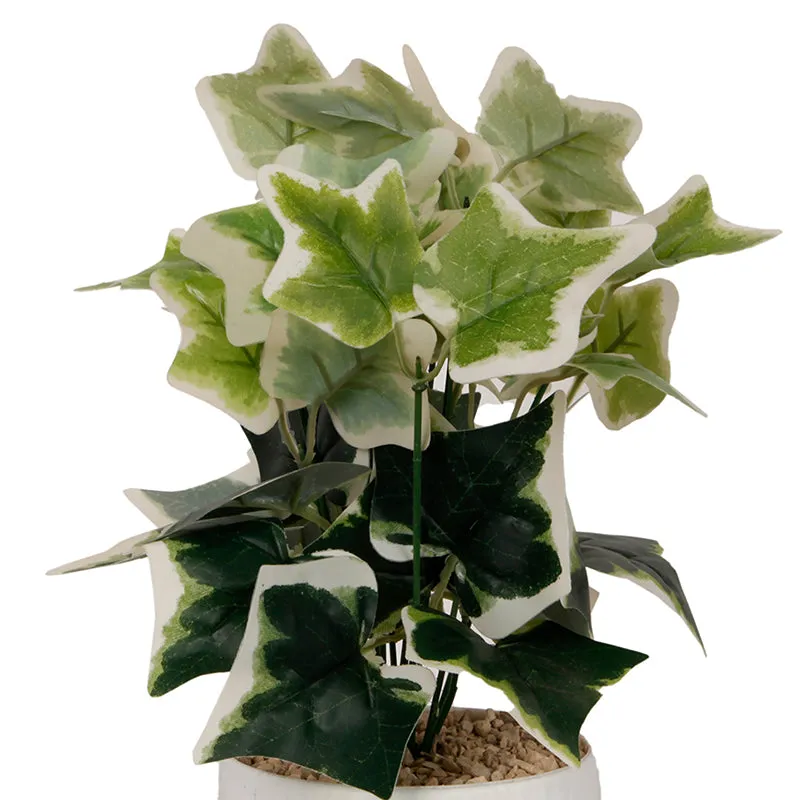 Ivelle Artificial Plant With Black Plastic Pot - White media 3