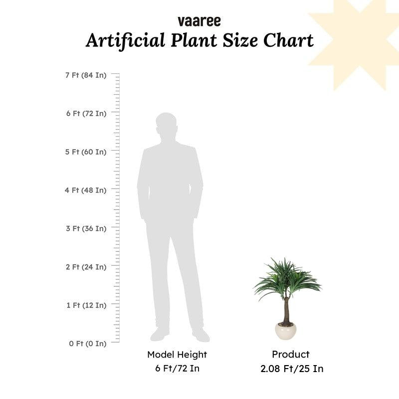 Faux Tall Nolina Bonsai In Ceramic Pot - 2.03 ft media 6
