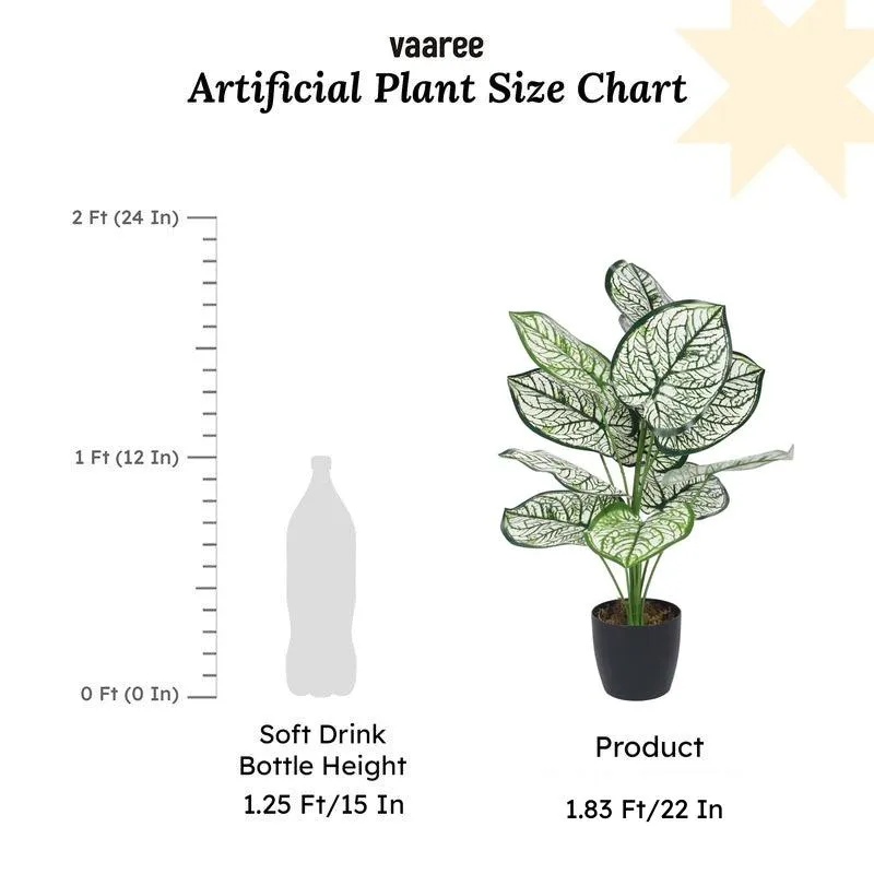 Faux Lush White Dubia Monstera Plant With Black Plastic Pot - 1.8 Feet media 6