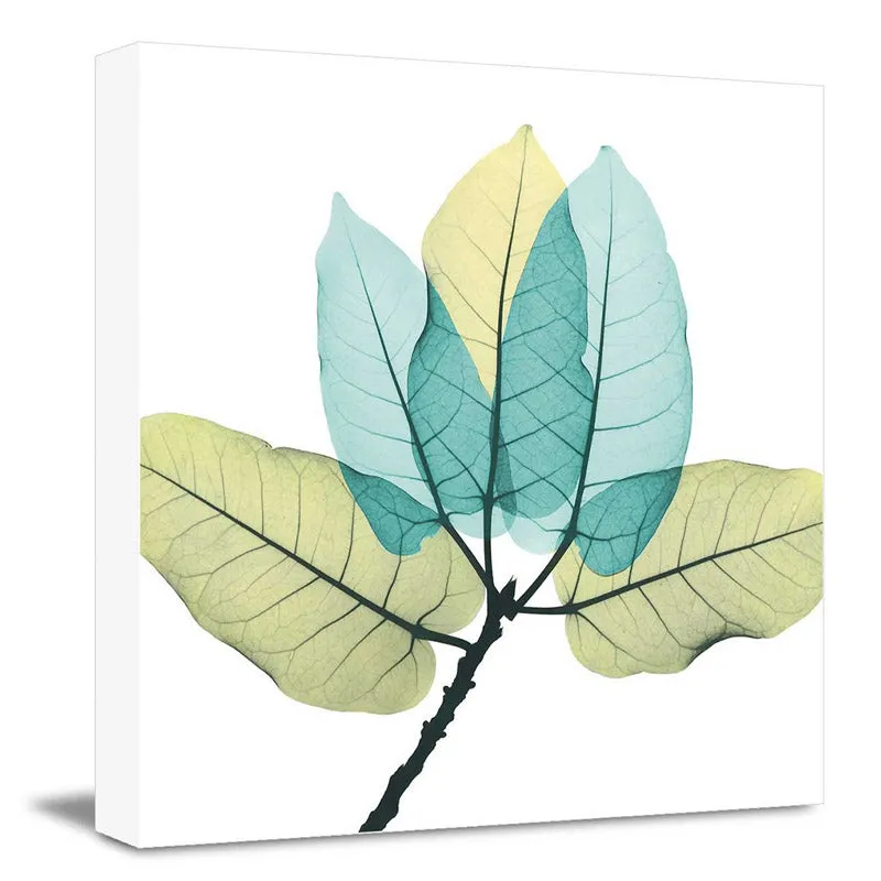 Crabtree Floral Wall Art media 3