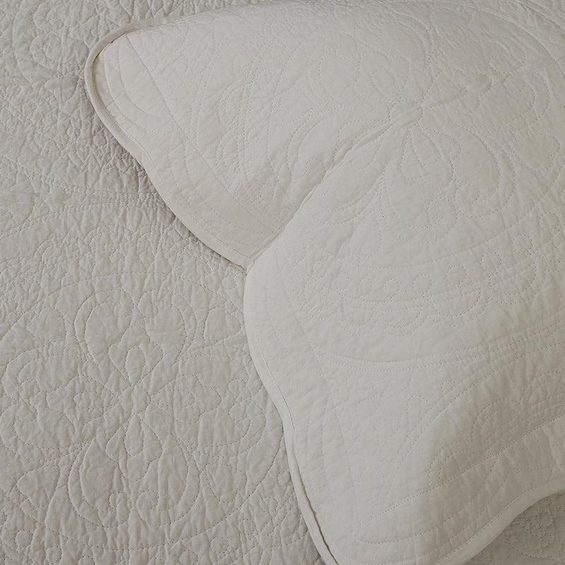 Oceanus Solid Cotton Quilt - 250 GSM media 3