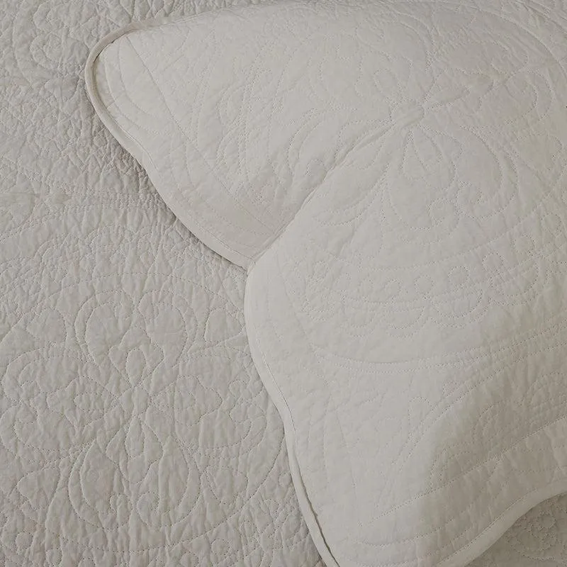 Oceanus Solid Cotton Quilt - 250 GSM media 3