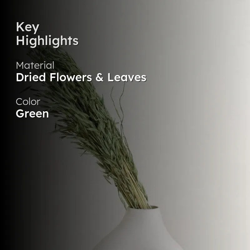 Hazo Millet Grass Dried Havana Grass Bunch - Green media 2