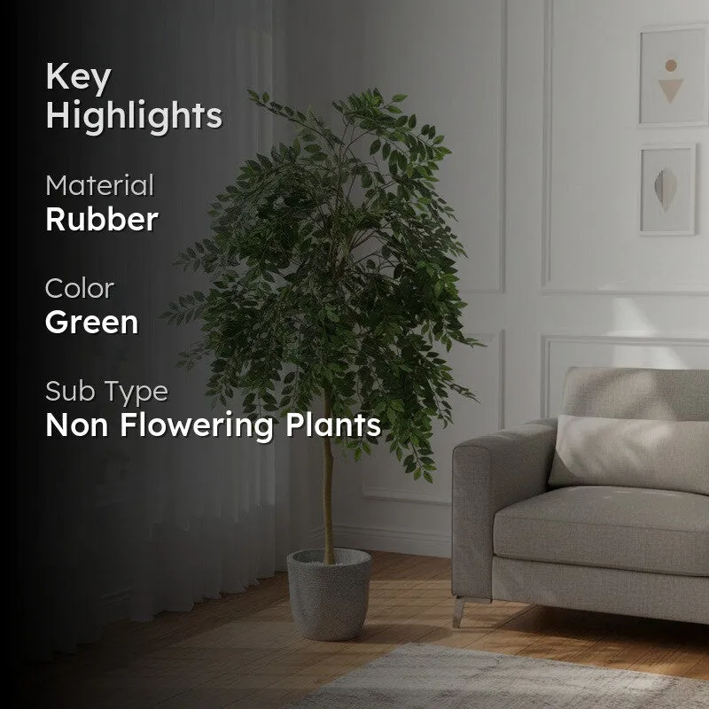 Herbelle Artificial Ficus Plant - 3.9 Feet media 2
