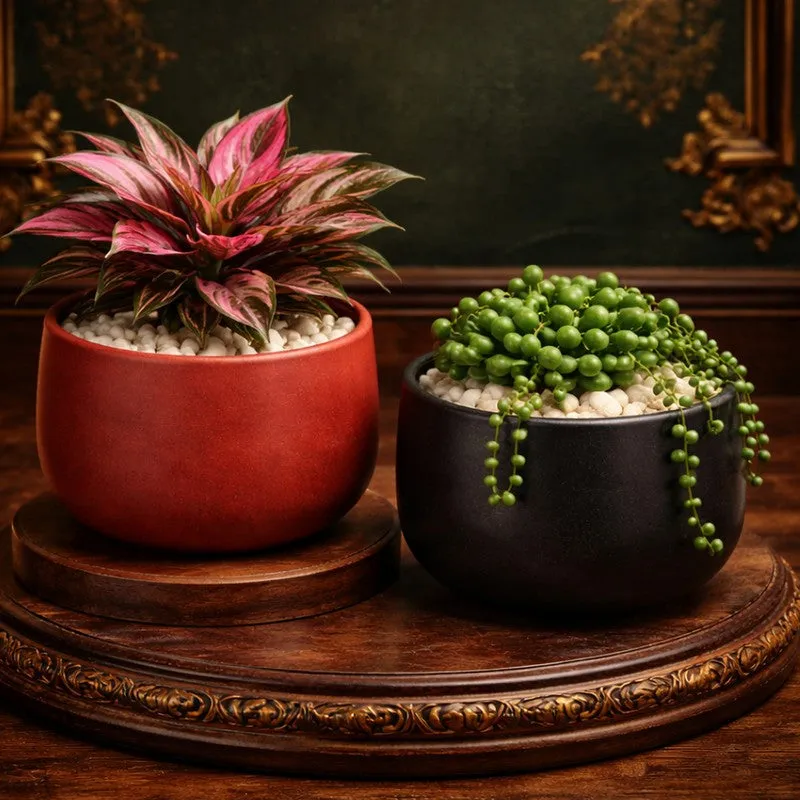 MinimalAura Pots & Planters (Red, Black) - Set of Two media 3
