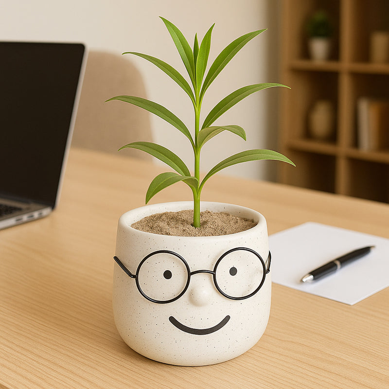 Plantie Pals Ceramic Planter - White media 3