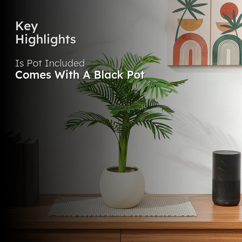 AuraLeaf Artificial Areca Plant With Black Plastic Pot - 3 Feet media 2