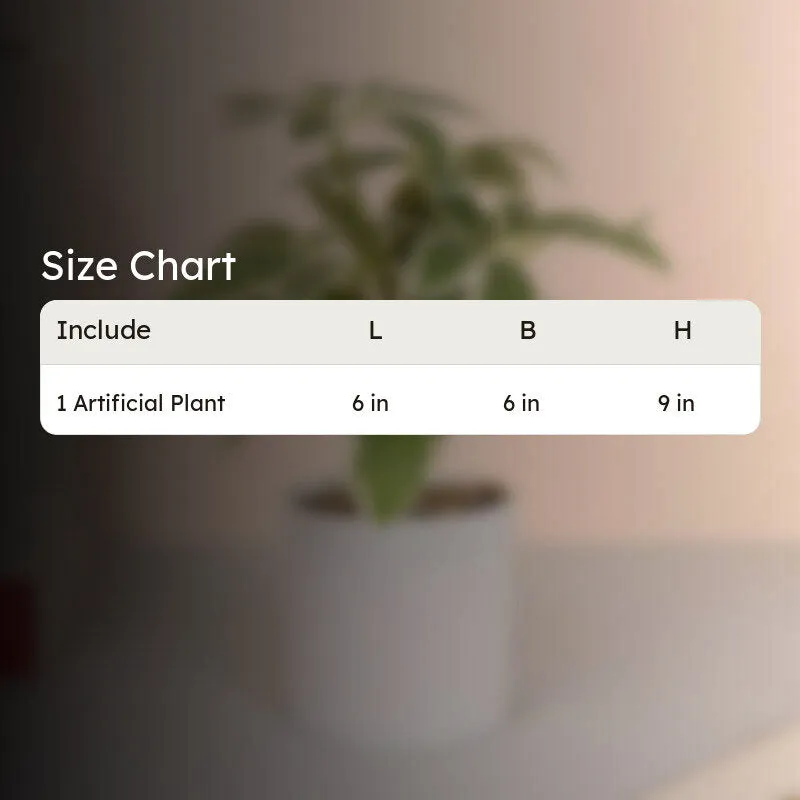 Schefflera Artificial Plants With Pot media 7