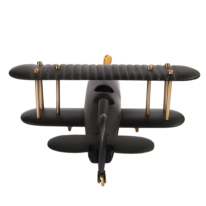 Raven Airplane Showpiece media 5