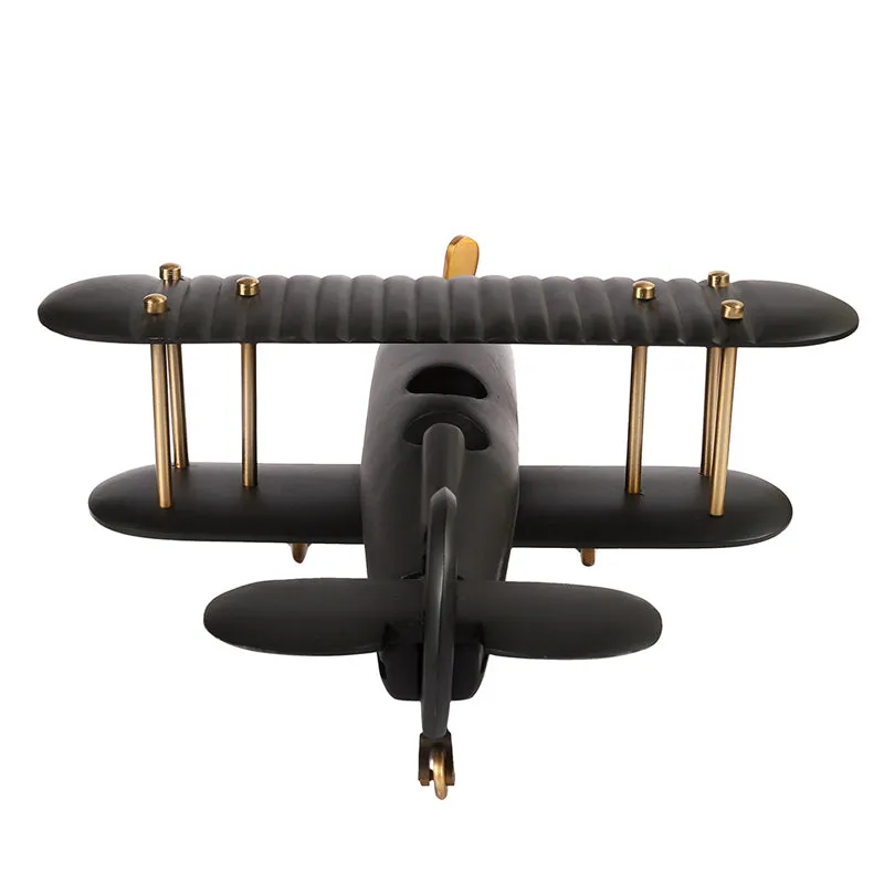 Raven Airplane Showpiece media 5