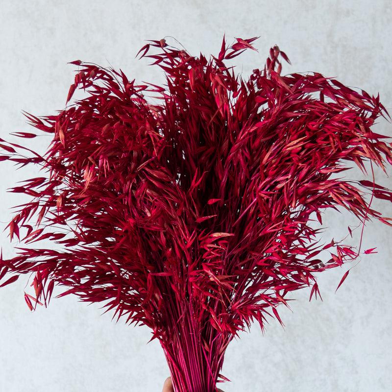 Yinira Naturally Dried Havana Millet Grass Bunch - Pink media 5