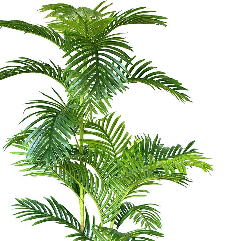 Greenly Artificial Dracaena Plant With Black Plastic Pot - 5 Feet media 5