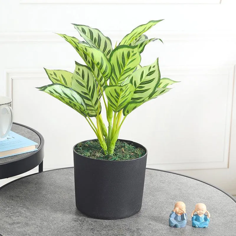 Green Spirit Artificial Plant With Black Plastic Pot media 2