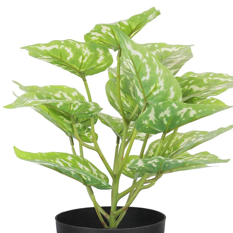 Neonix Money Artificial Plant With Plastic Pot - 1.2 Feet media 5