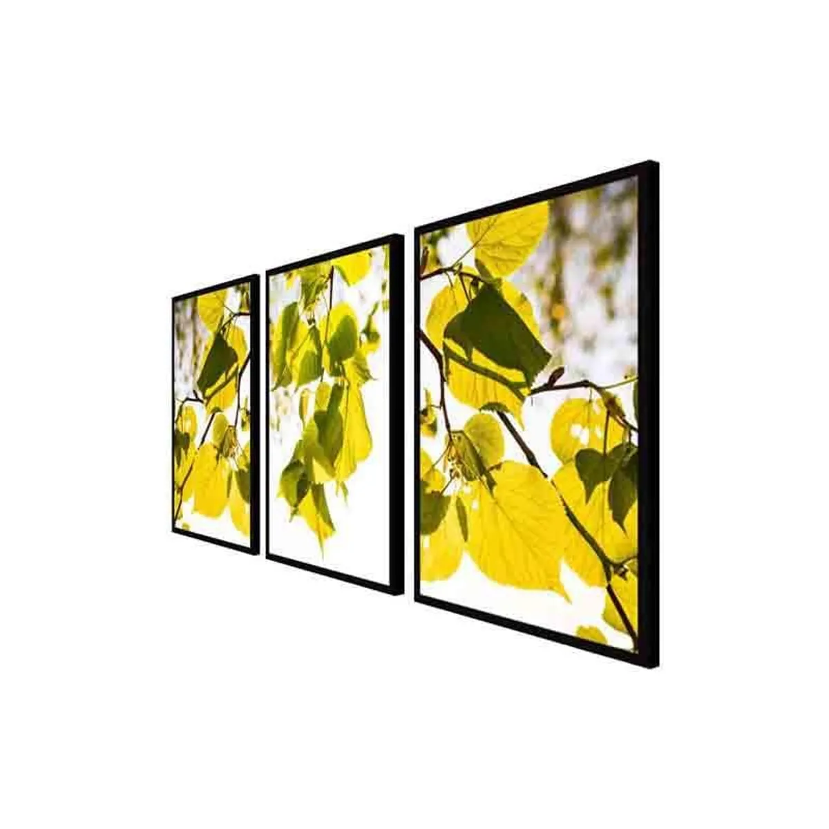 Angled side view of three framed botanical leaf wall art panels