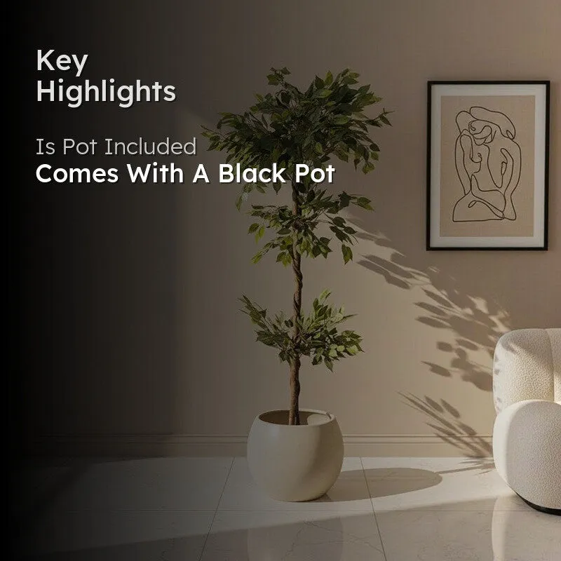 Faux Ficus Tree With Black Plastic Pot - 5.91 ft - 2