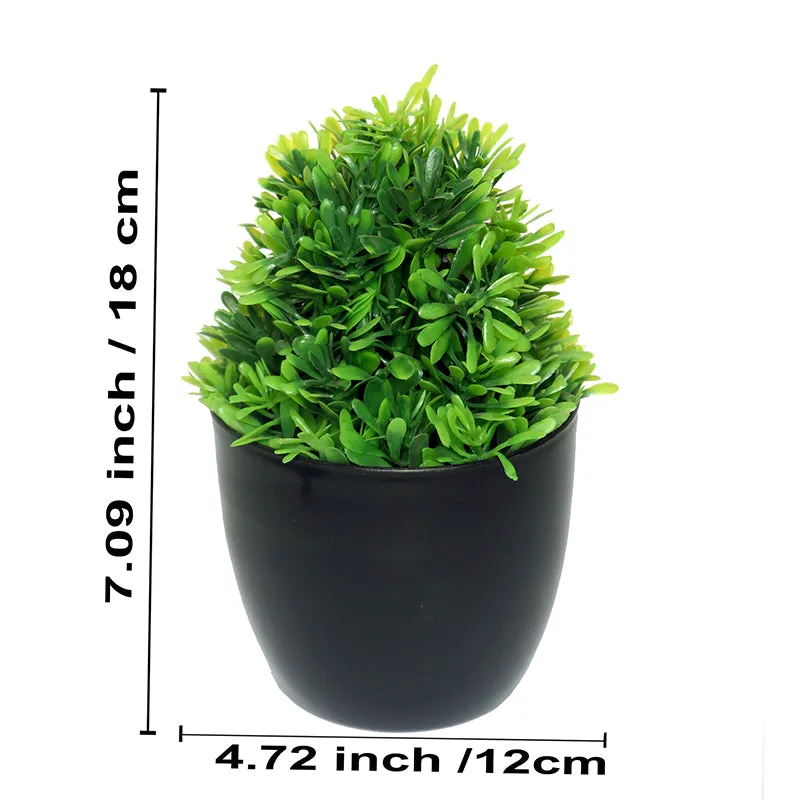 Faux Kesa Plant With Black Plastic Pot - Set Of Three media 5